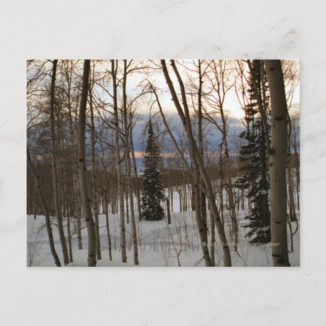 Winter-Abends-Postkarte Postkarte (Vorderseite)