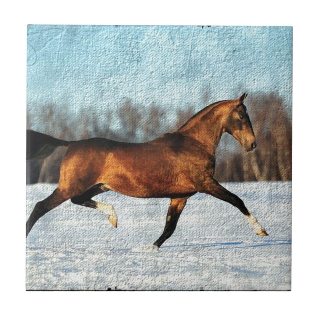 Winter Akhal-teke Fliese (Vorderseite)