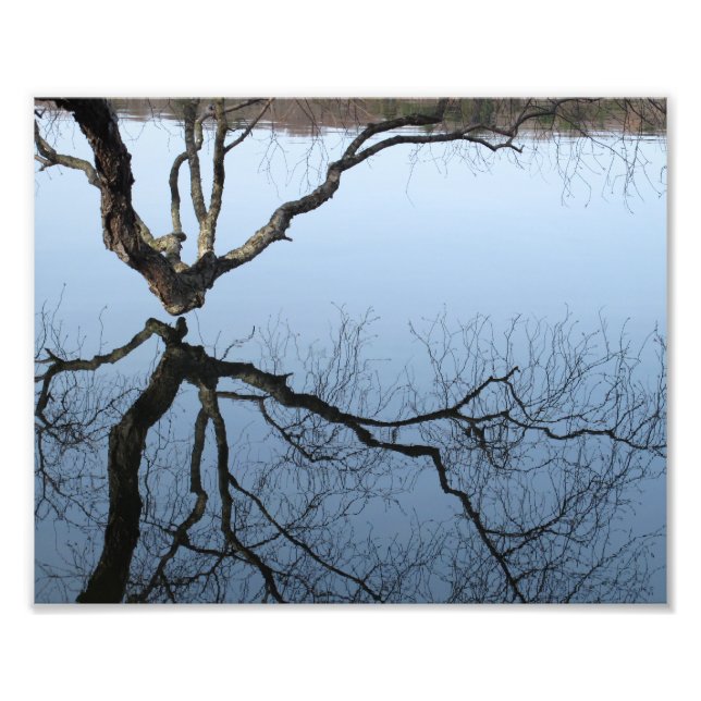 Winter am Jamaika-Teich, 8 x 10 Foto drucken (Vorne)