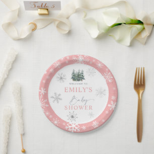 Winter Baby Dusche Pappteller