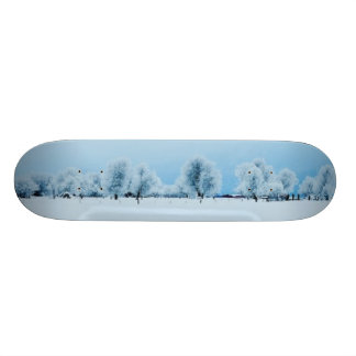 Winter-Bauernhof Skateboard