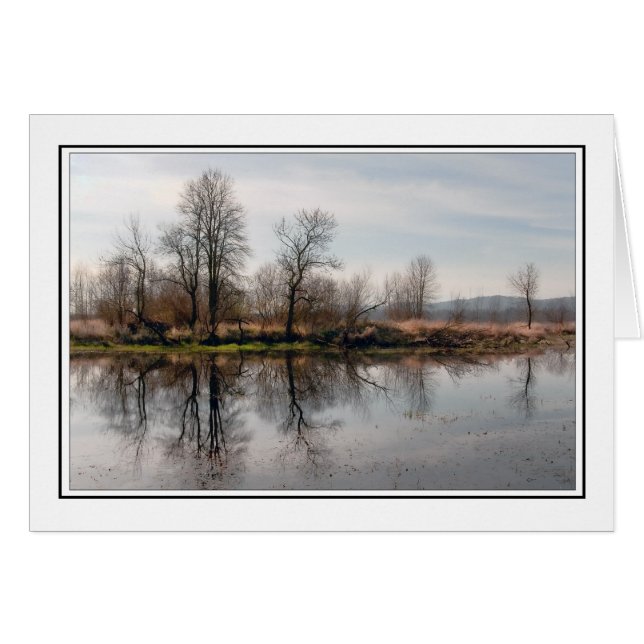 Winter-Bäume (Vorderseite (Horizontal))