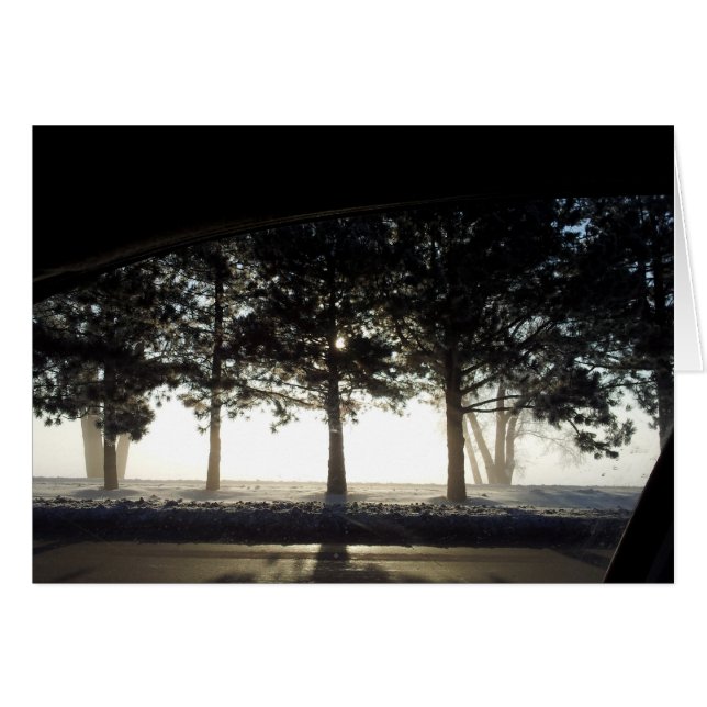 Winter-Bäume vom Auto (Vorderseite (Horizontal))