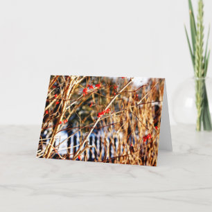 Winter-Beere Notecards Karte