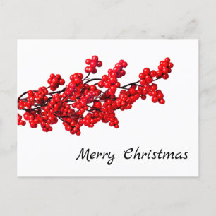 Winter Berries und Holiday Cheer Postkarte