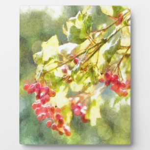 Winter Berries Wasserfarbe Fotoplatte