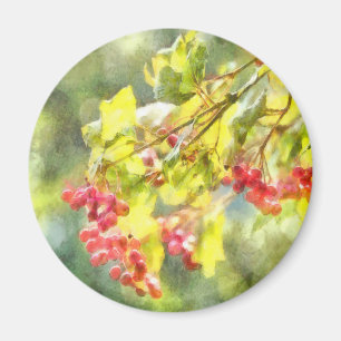 Winter Berries Wasserfarbe Magnet