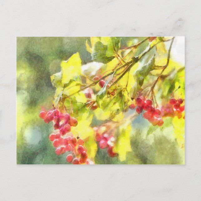 Winter Berries Wasserfarbe Postkarte (Vorderseite)