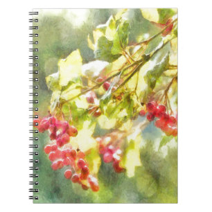 Winter Berries Watercolor Notizblock