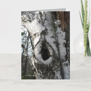 Winter Birch Trees Karte