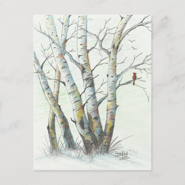 Winter Birches farbige Stift Kunst Postkarte (Vorderseite)