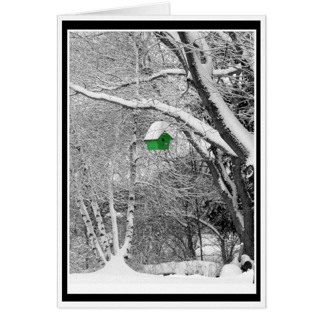 Winter Birdhouse (Vorne)