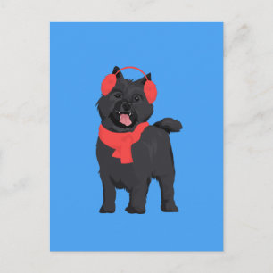 Winter Black Cairn Terrier Hund mit Red Oar Muff Postkarte