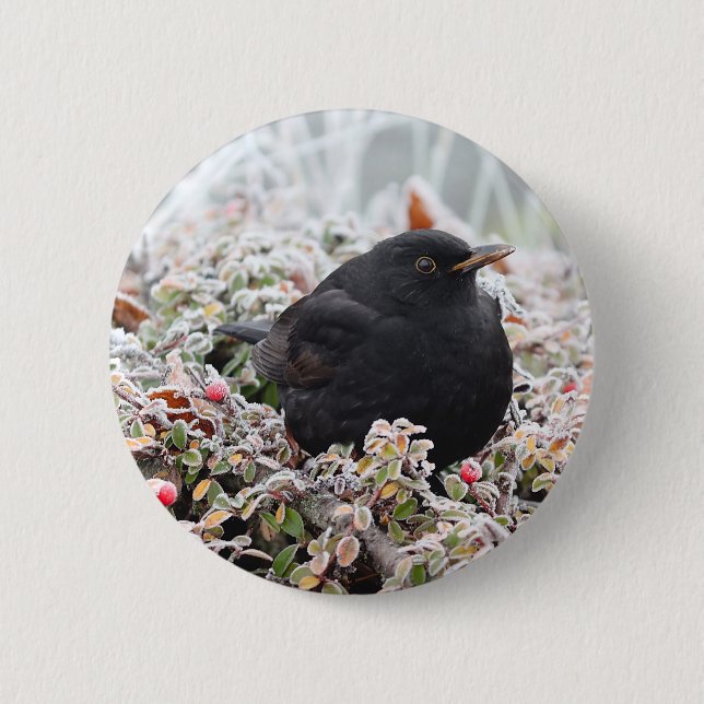 Winter Blackbird Button (Vorderseite)