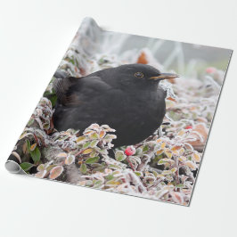 Winter Blackbird Geschenkpapier