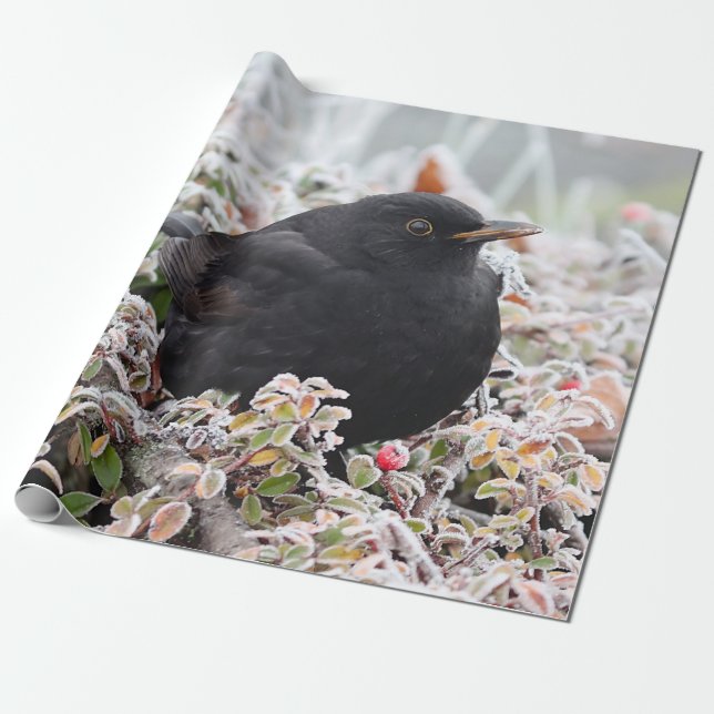 Winter Blackbird Geschenkpapier (Ungerollt)