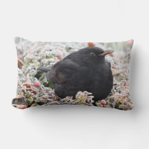 Winter Blackbird