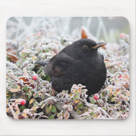 Winter Blackbird Mousepad