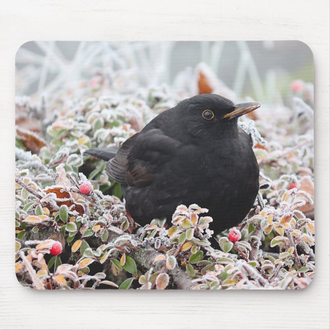 Winter Blackbird Mousepad (Vorne)