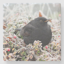 Winter Blackbird Steinuntersetzer