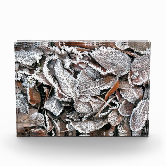 WINTER-BLÄTTER FOTOBLOCK (Vorderseite)