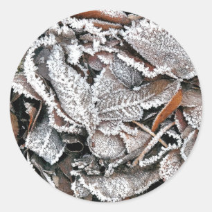 WINTER-BLÄTTER RUNDER AUFKLEBER