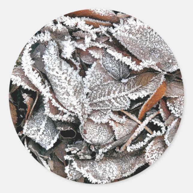 WINTER-BLÄTTER RUNDER AUFKLEBER (Vorderseite)