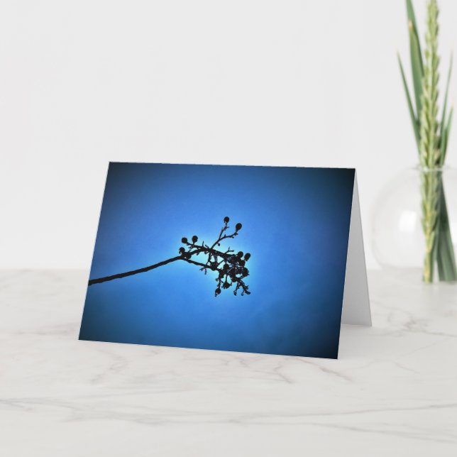 Winter Blau, Karte (Vorderseite)