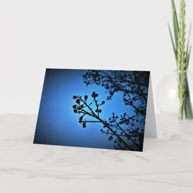 Winter Blau, Karte (Vorderseite)