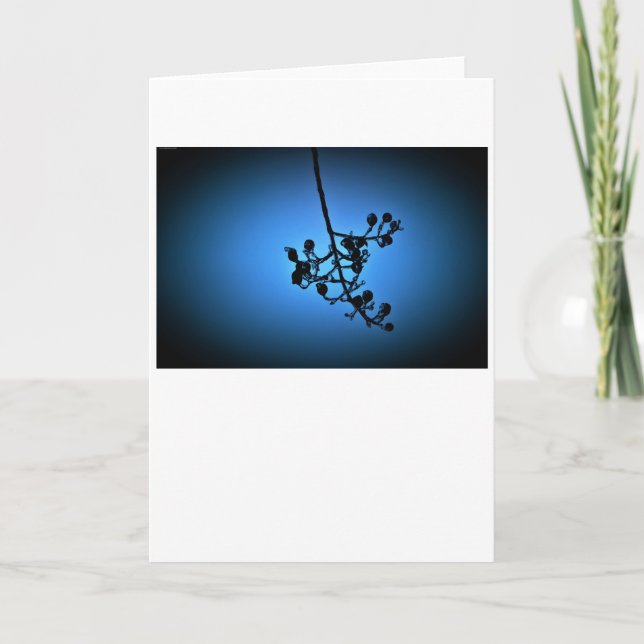 Winter Blau, Karte (Vorderseite)