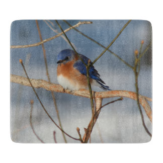 Winter Blaumeise Natur  Schneidebrett