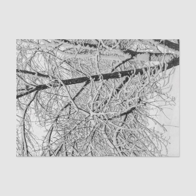 Winter Blizzard Storm Schneebaum Naturfotografie Seidenpapier (Vorderseite)