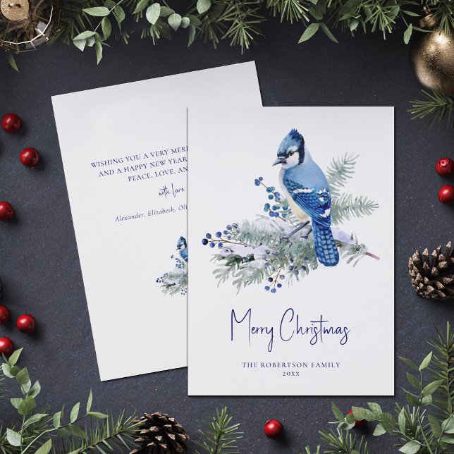 Winter Blue Jay Christmas Feiertagskarte (Von Creator hochgeladen)
