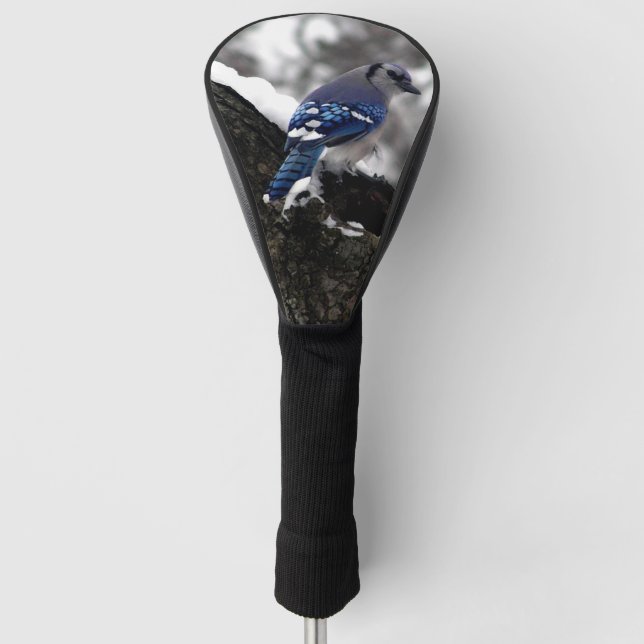 Winter Blue Jay Golf Headcover (Vorderseite)