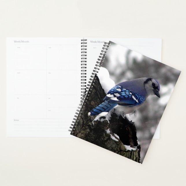Winter Blue Jay Planer (Anzeige)