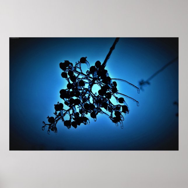 Winter Blue, Poster (Vorne)