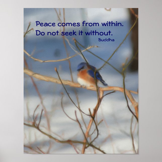 Winter Bluebird Buddha Quote Inspirational Poster (Vorne)