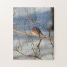 Winter Bluebird Nature Art