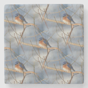 Winter Bluebird Nature Art Pattern Steinuntersetzer
