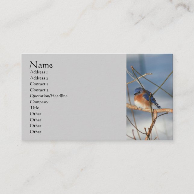 Winter Bluebird Nature Carte de visite (Devant)