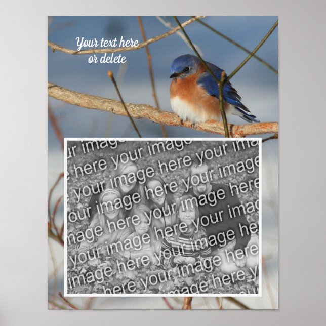 Winter Bluebird Personalisiert Foto kreieren Poster (Vorne)