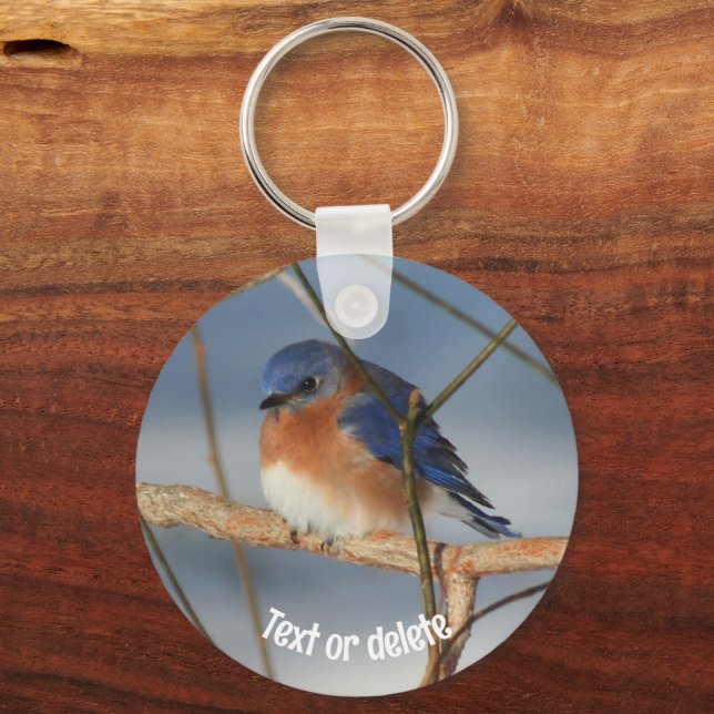 Winter Bluebird Tier Personalisiert Schlüsselanhänger (Vorderseite)
