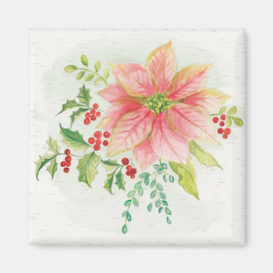 Winter blüht   rosa blühende Poinsettia Magnet