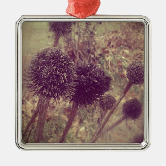 Winter Blume Seedpods Silbernes Ornament (Vorne)