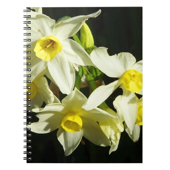 Winter-Blumen Notizblock (Vorderseite)