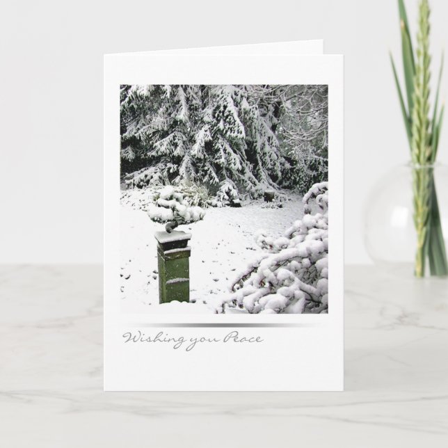 Winter-Bonsais Feiertagskarte (Vorderseite)