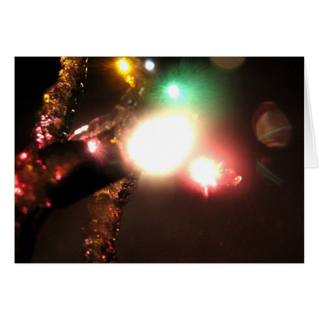 Winter Bright (Vorderseite (Horizontal))