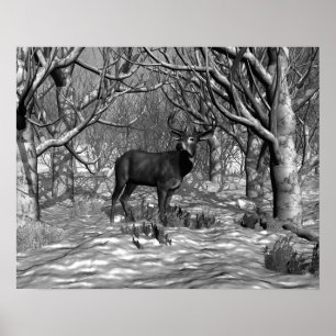 Winter Buck B/W Poster