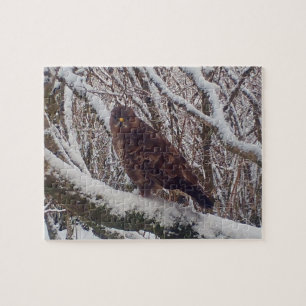 Winter-Bussard auf frostigem Ast im Waldland