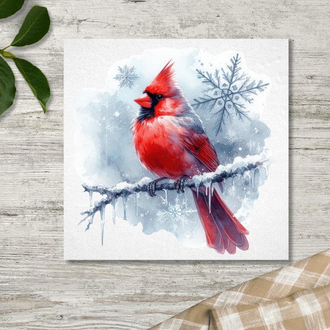 Winter Cardinal with Snowflakes on Icy Branch Poster (Von Creator hochgeladen)
